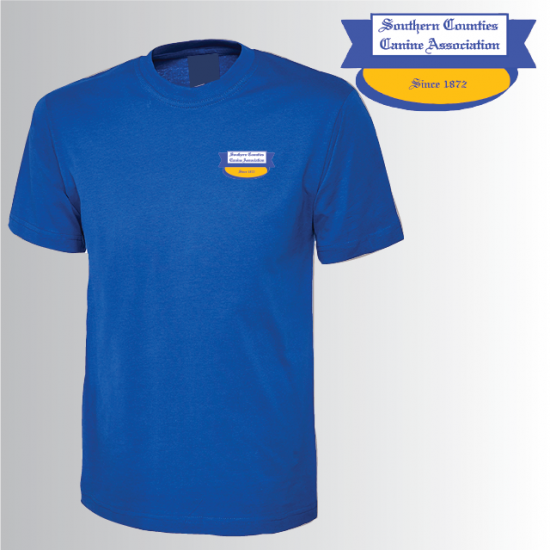 DC Unisex Classic T-Shirt (UC301) - Click Image to Close