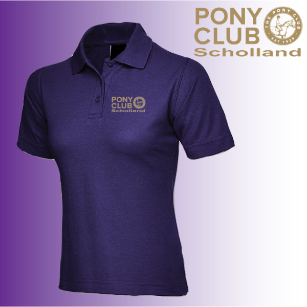 (image for) PC Ladies Polo Shirt (UC106)