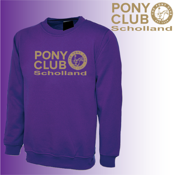 (image for) PC Adult Unisex Sweat Shirt (UC203)