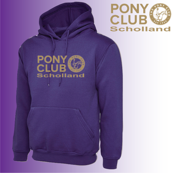 (image for) PC Adult Unisex Hoody (UC502)