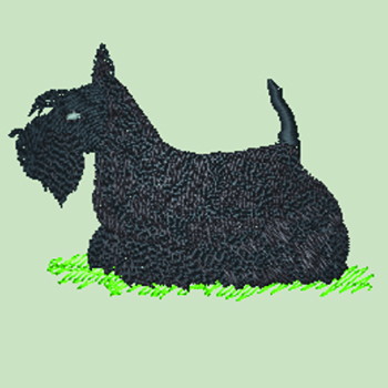 (image for) Scottish Terrier (WD182)