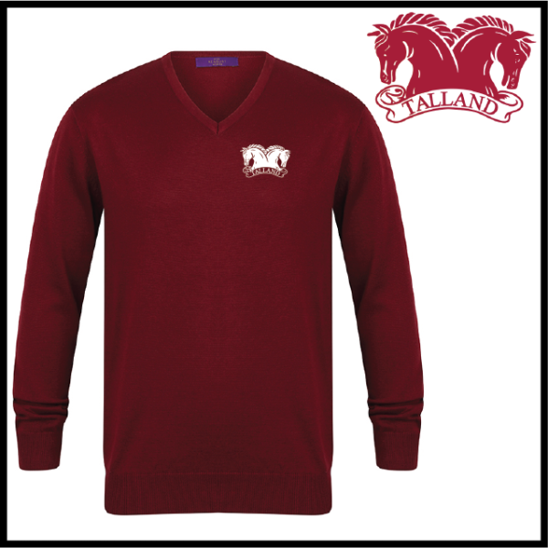 (image for) EQ Mens 12 Gauge V-neck Jumper (HB720)