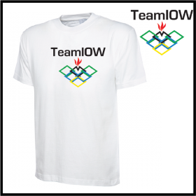 TeamIOW Mens Classic T-Shirt (UC302)