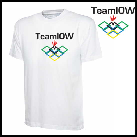 TeamIOW Mens Classic T-Shirt (UC302)