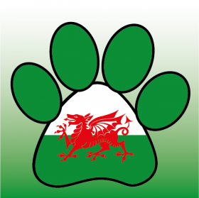 Welsh Paw