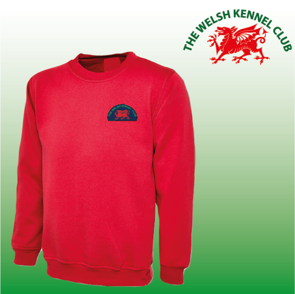 (image for) DC Child Classic Sweat Shirt (UC202)