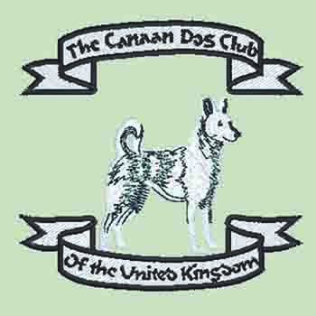 Canaan Dog Club UK - Click Image to Close