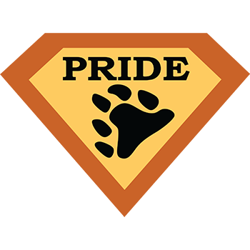 PRB003 - Super Pride Bear - Click Image to Close
