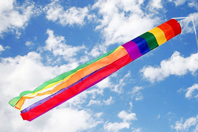 Pride Rainbow Windsock - Click Image to Close